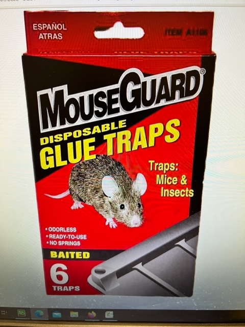 47020 - MouseGuard glue traps USA